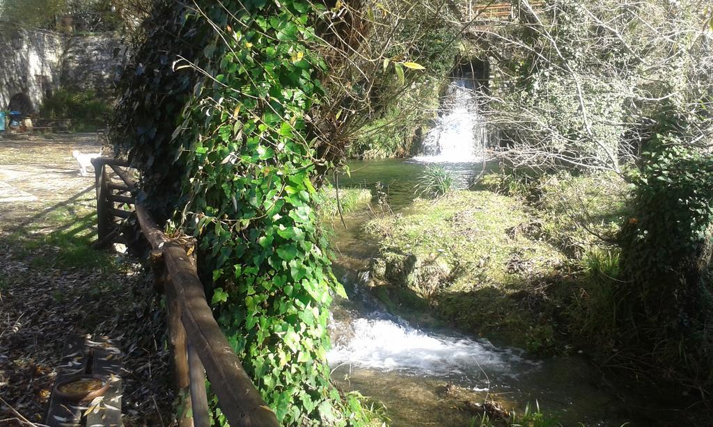 L'Antica Mola Villa Castel Madama Szoba fotó