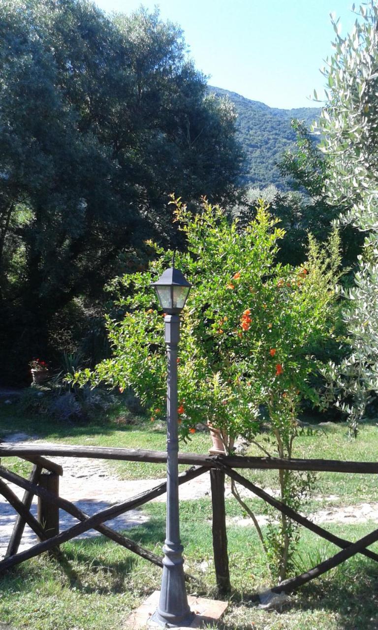 L'Antica Mola Villa Castel Madama Kültér fotó